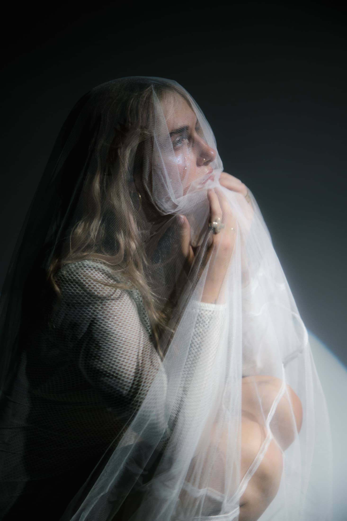 A seated subject seen through a fine translucent veil.