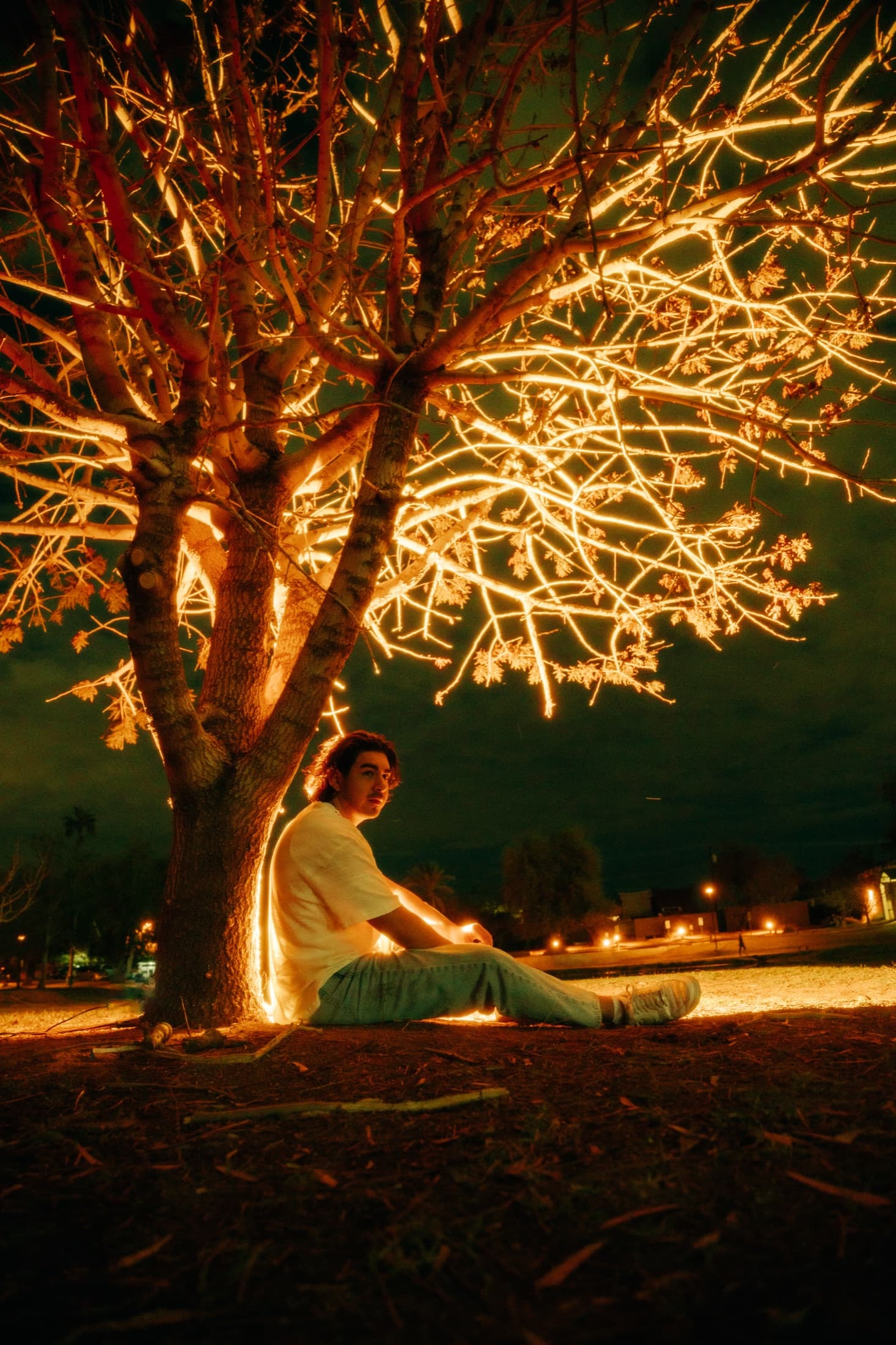 A person seated beneath a tree illuminated with warm string lights.